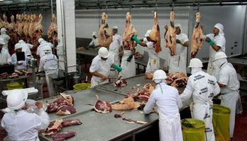 Despiden a 70 trabajadores de un frigorífico en Córdoba