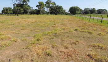 Mapa vai captar investimento externo para recuperar pastagens 