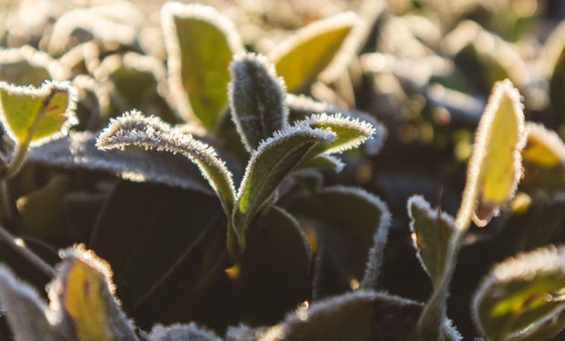 Previsão do tempo: temperatura cai no Centro-Sul no país hoje