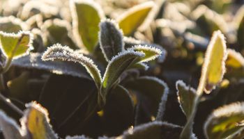 Temperatura cai no centro-sul do país nesta terça-feira