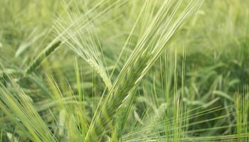 Noticias agrícolas del día