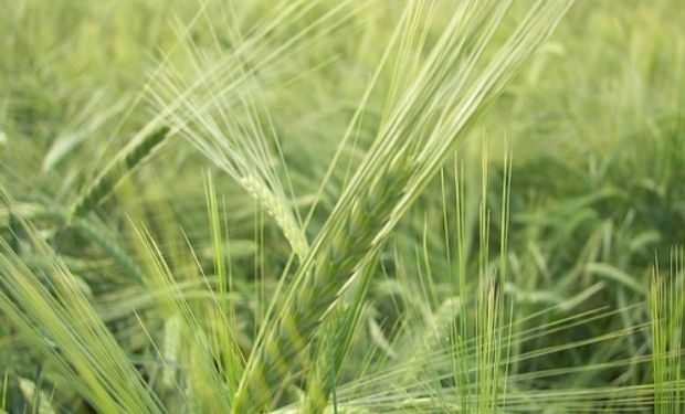 Noticias agrícolas del día