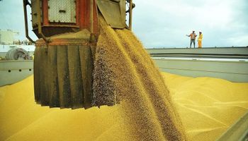 Récord: se registraron más de 70 millones de toneladas de DJVE hasta agosto