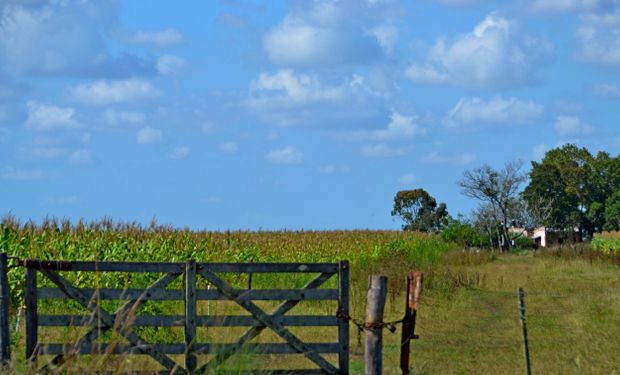 Buenos Aires: el inmobiliario rural aumentaría hasta un 35 % en 2022