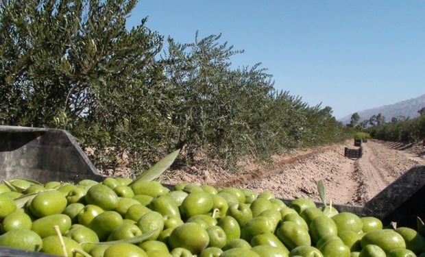 Los 4 temas que las economías regionales trataron en una reunión con el Gobierno