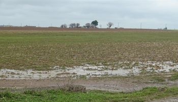 Alerta amarilla por lluvias y tormentas en la zona núcleo
