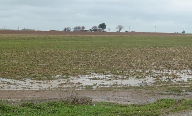 Alerta amarilla por lluvias y tormentas en la zona núcleo