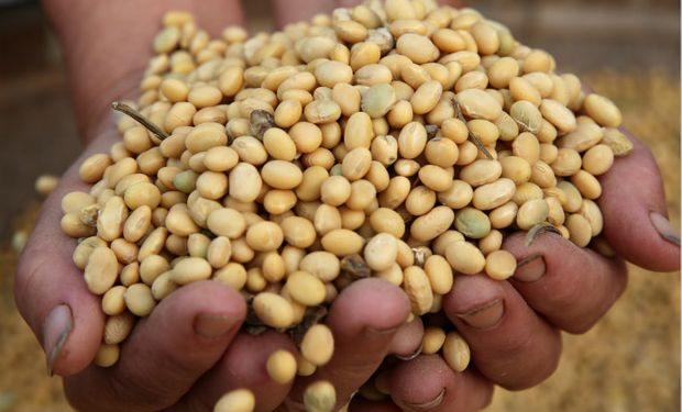 Subas para soja y trigo: se recupera China y el mercado espera cifras claves