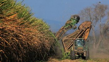 Actualizan el precio del bioetanol y el biodiésel, aún por debajo del pedido de productores