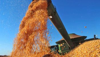 Sin precedentes: Brasil cosechó un récord de 242 millones de toneladas de granos