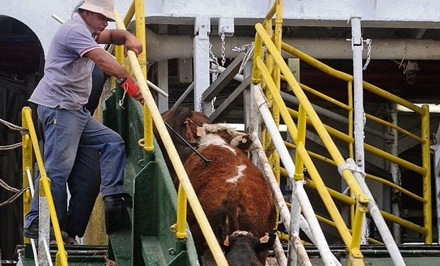 Uruguay reactivó la exportación de carne a China y ganado en pie a Turquía