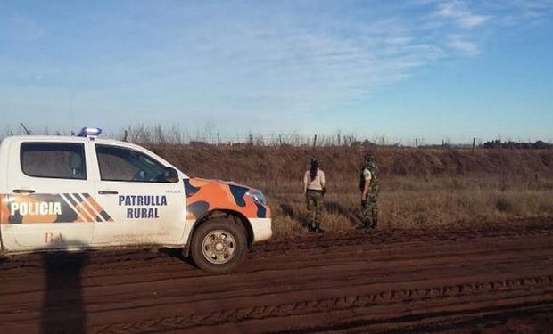 Inseguridad rural: recuperan 112 vacunos tras un robo de hacienda valuado en 18 millones de pesos