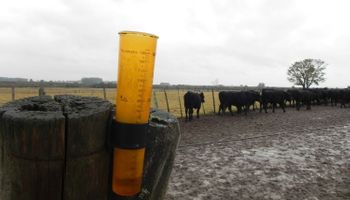 Lluvias en el campo: cuántos milímetros recibió cada localidad de la zona núcleo