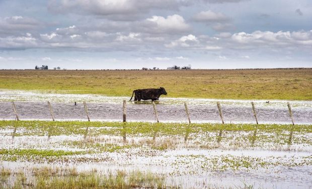 A los productores en emergencia no se les practicarán retenciones del impuesto a las Ganancias más allá de su situación en el SISA.