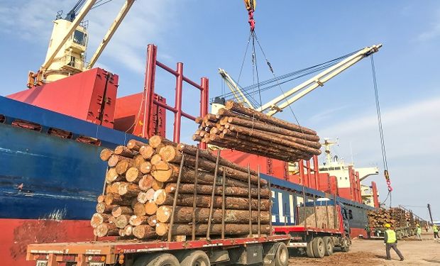 Por primera vez, Argentina exportará madera al mercado indio