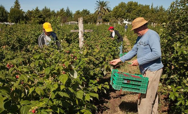 Se expondrá sobre las particularidades del ámbito rural en la región de América Latina.