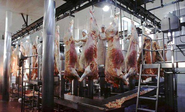 Venta de carne a China sube en el año 990%