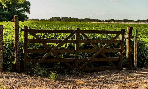 El agro es uno de los sectores que está impulsando la economía.