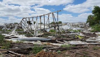 Pequeños productores hortícolas en emergencia