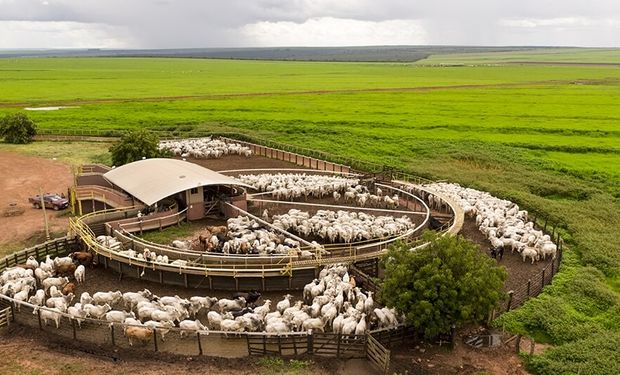 As consultas são realizadas diariamente mesmo com fornecedores recorrentes.