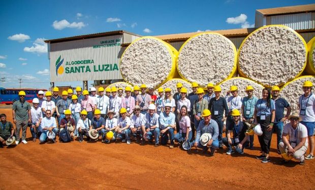 Na Bom Futuro, são cultivados quase 159 mil hectares da pluma por safra.