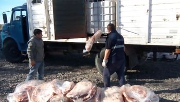 El Senasa detectó en Río Negro 3.000 kilos de carne sin documentación