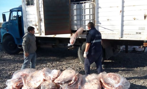 Fueron detectados en el puesto de control de San Antonio Oeste por personal de la barrera zoofitosanitaria del Senasa.