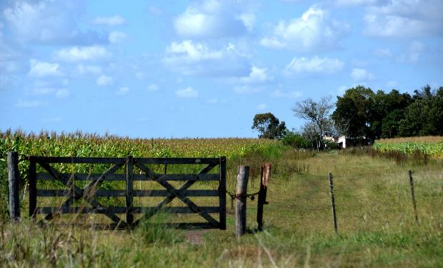 Suspenden los desalojos rurales hasta 2024 en Santa Fe