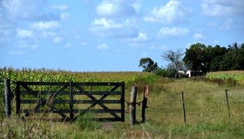 Córdoba anunció descuentos de hasta un 30 % en el inmobiliario rural
