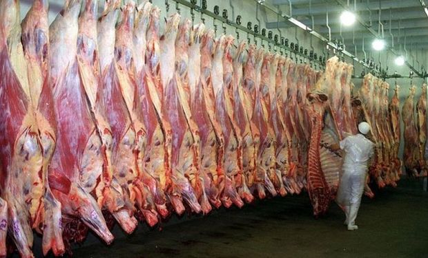 Carne bovina: el nivel de actividad es uno de los más bajos de la década y se consolida una menor oferta de animales