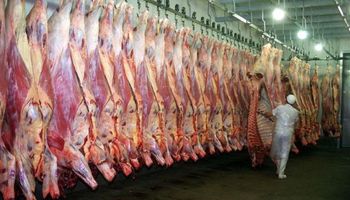 Ganadería: el peso de faena marca niveles históricos y sostiene la producción