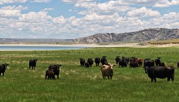 Rancho à venda nos EUA é quatro vezes maior que Nova York