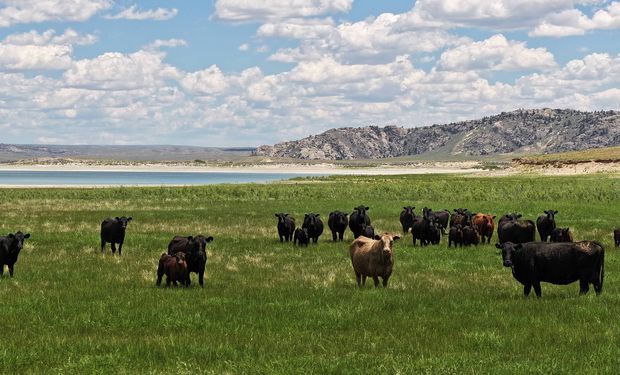 Rancho à venda nos EUA é quatro vezes maior que Nova York