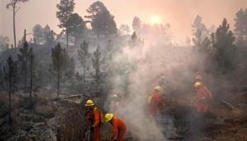 Se extienden los incendios por la ola de calor en casi todo el país