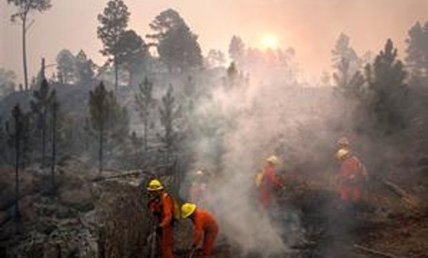 Se extienden los incendios por la ola de calor en casi todo el país
