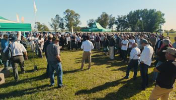 La marca N°1 en soja del país lanzó cinco variedades que se suman a las seis incorporadas la campaña anterior: van con “toda la artillería” a Expoagro 2026