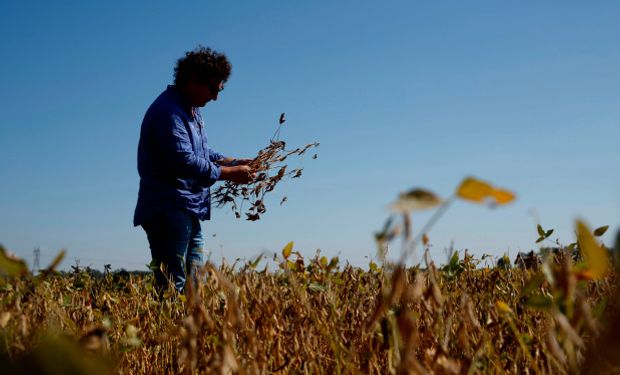 La importancia de una correcta gestión en el agro.