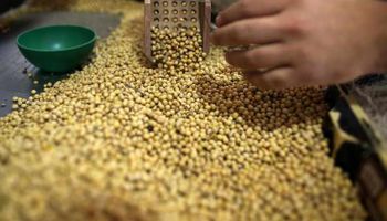 Ejercicio de simulación: qué pasaría si exportáramos solo soja sin procesar