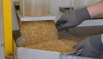 Suspendieron 14 molinos de harina de trigo por anomalías en su funcionamiento