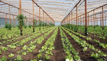 Cambios en las condiciones edilicias para fomentar la producción de alimentos 