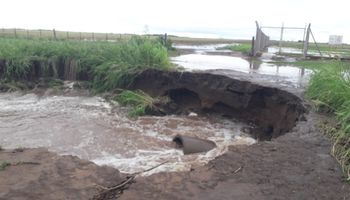 Córdoba declarará el desastre ambiental en parte de la zona productiva tras las fuertes lluvias