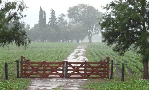 Servicio Meteorológico alerta por tormentas fuertes en la franja central del país