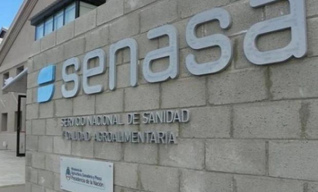Senasa establece un procedimiento para supervisar y certificar los tratamientos de fumigación oficial