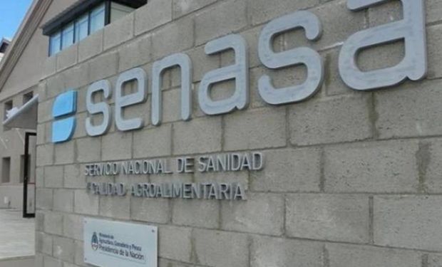 Senasa establece un procedimiento para supervisar y certificar los tratamientos de fumigación oficial 