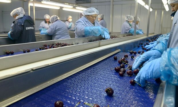 Se exportarán 8 contenedores de cerezas frescas provenientes de Neuquén, Río Negro y Chubut.