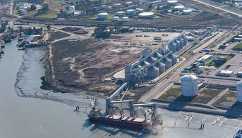 Agroindustria lanzó el Monitor de Cupos de Exportación