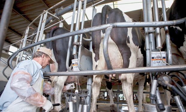 Una radiografía del sector lácteo muestra que la producción se estancó