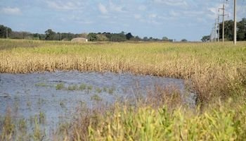 Chaco: asisten a mil productores con 87 millones de pesos por la emergencia agropecuaria