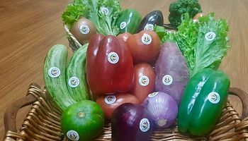 Se otorgó el primer sello "Producido por la Agricultura Familiar" a hortalizas mendocinas