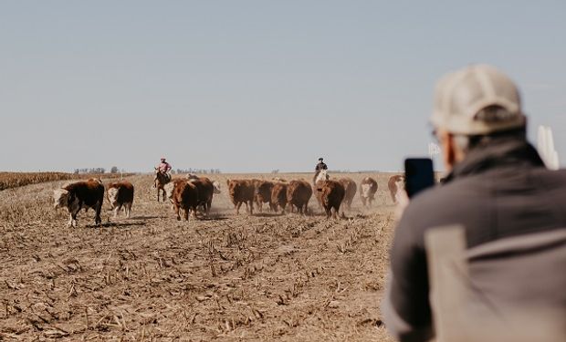 En Ameghino: los secretos de un establecimiento mixto para ganar más kilos de carne por hectárea